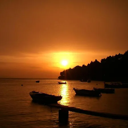 205 Mata, 80m Vom 3* Stanici